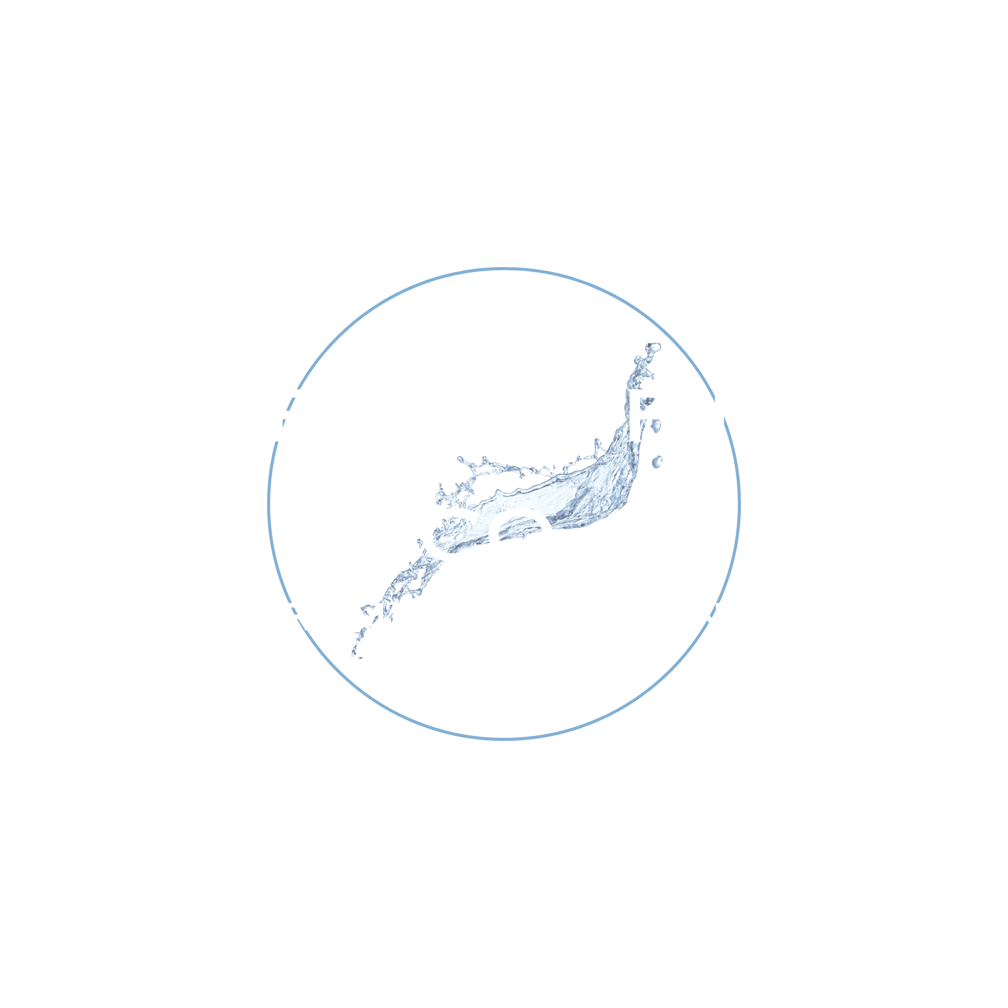 Sovereign Finish Co. — Premium Detailing
